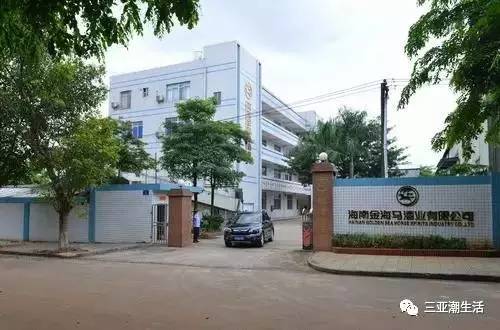 海南23家老字号，铸就行业传奇 这些企业堪称‘最牛’标杆！